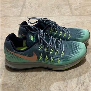 Nike Air Zoom Pegasus 33 Shield